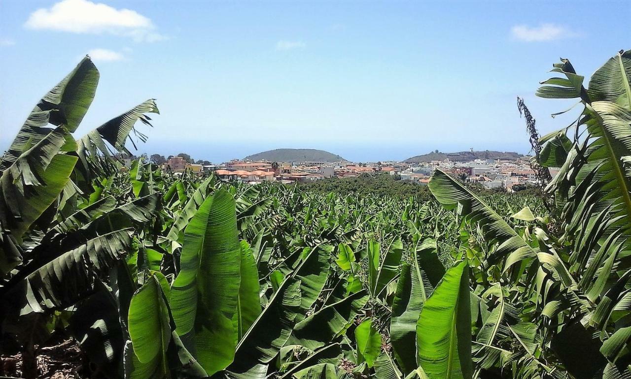 Casa Rural El Pinito Villa Los Llanos De Aridane Kültér fotó