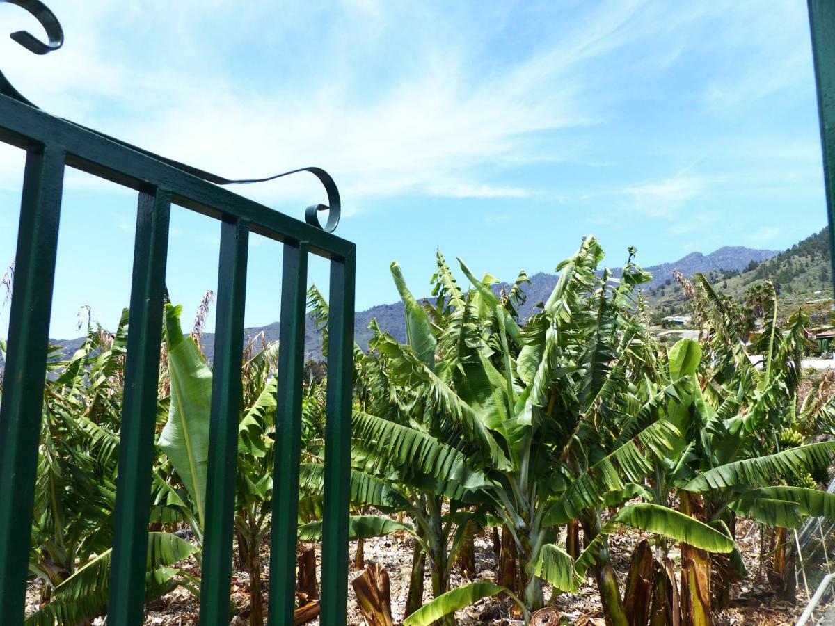 Casa Rural El Pinito Villa Los Llanos De Aridane Kültér fotó